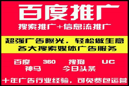SEM推广策略：成功案例解析与效果评估